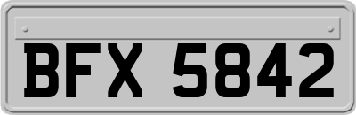 BFX5842