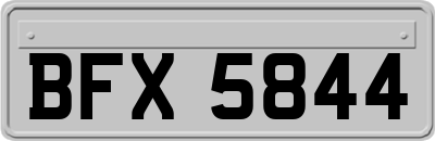 BFX5844