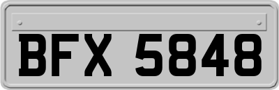 BFX5848