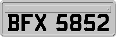 BFX5852