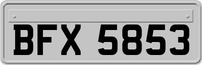 BFX5853