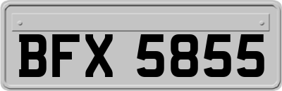 BFX5855