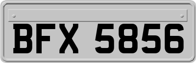 BFX5856
