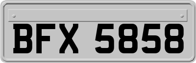 BFX5858