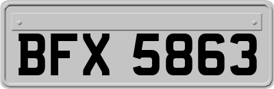 BFX5863