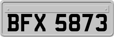 BFX5873