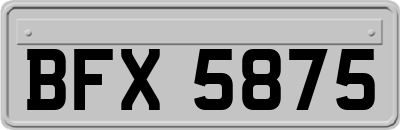BFX5875