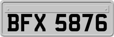 BFX5876