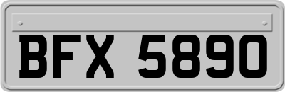 BFX5890