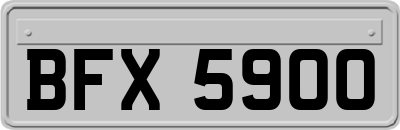 BFX5900