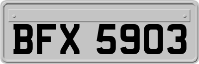 BFX5903
