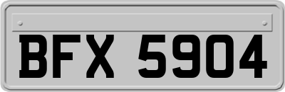 BFX5904