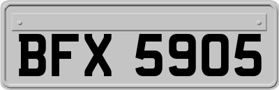 BFX5905