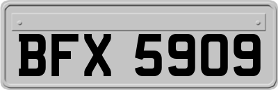 BFX5909