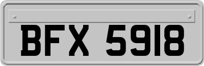 BFX5918
