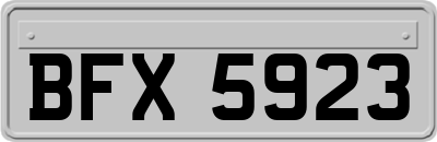 BFX5923