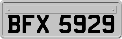 BFX5929