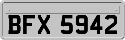 BFX5942