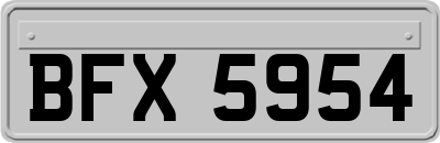 BFX5954