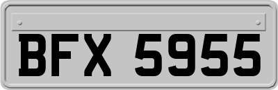 BFX5955