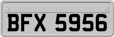 BFX5956