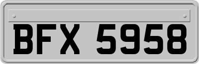 BFX5958