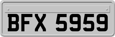 BFX5959