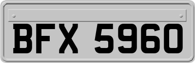 BFX5960