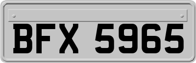 BFX5965