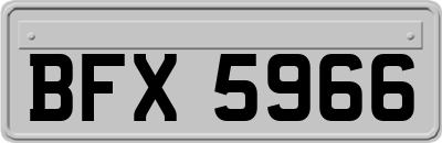 BFX5966