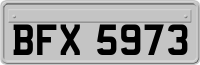 BFX5973