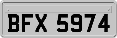 BFX5974