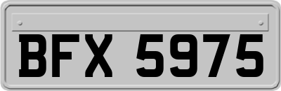 BFX5975