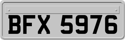BFX5976