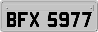BFX5977