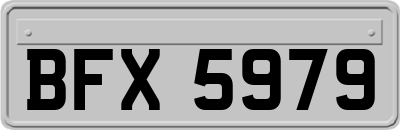 BFX5979