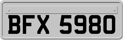 BFX5980