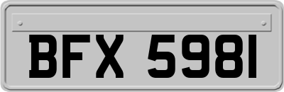 BFX5981