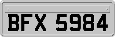 BFX5984