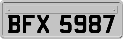 BFX5987