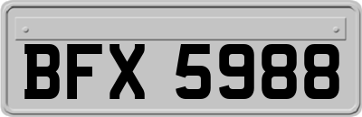 BFX5988