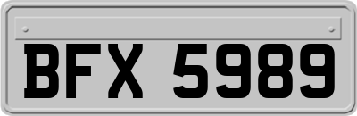 BFX5989