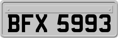 BFX5993