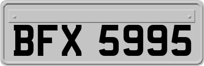 BFX5995