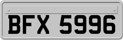 BFX5996