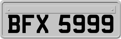 BFX5999