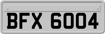 BFX6004