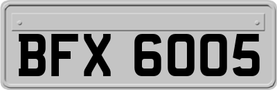 BFX6005