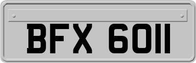 BFX6011