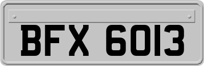 BFX6013